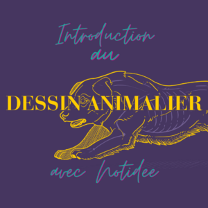 introduction au dessin animalier avec notidee