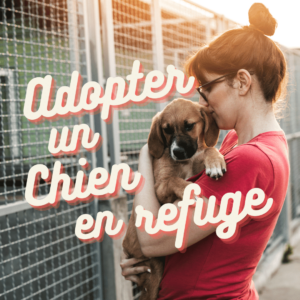 adopter un chien en refuge